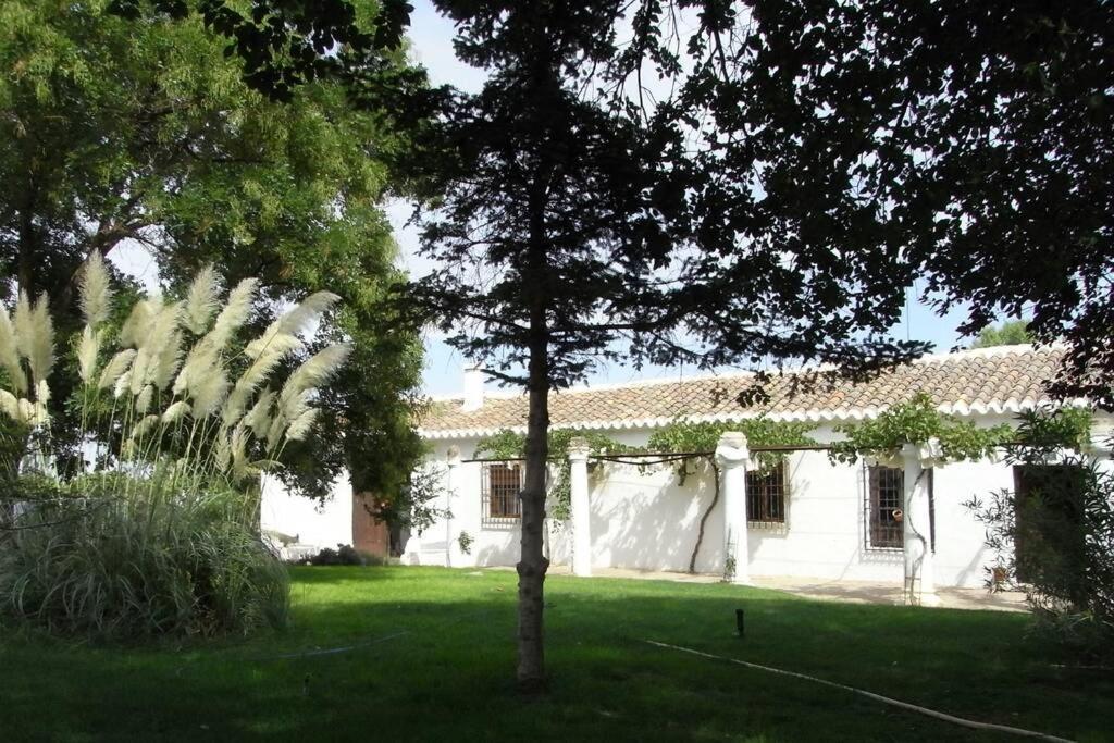 Casa El Carmen Villa Ciudad Real Eksteriør bilde