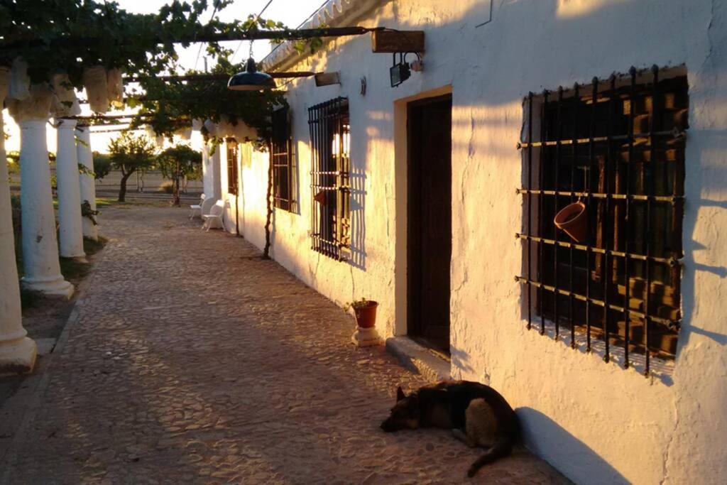 Casa El Carmen Villa Ciudad Real Eksteriør bilde