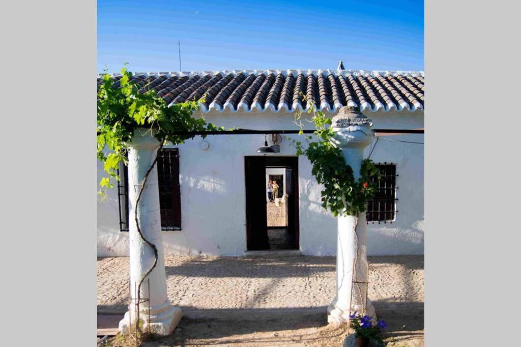 Casa El Carmen Villa Ciudad Real Eksteriør bilde